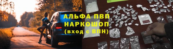 гашик Волоколамск