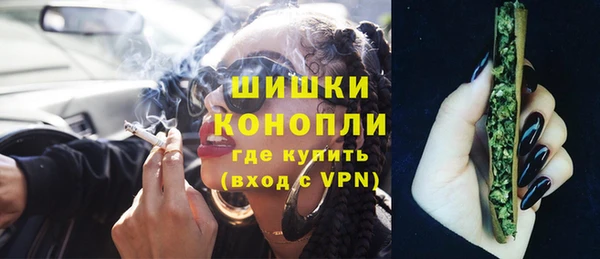 шишки Верхний Тагил