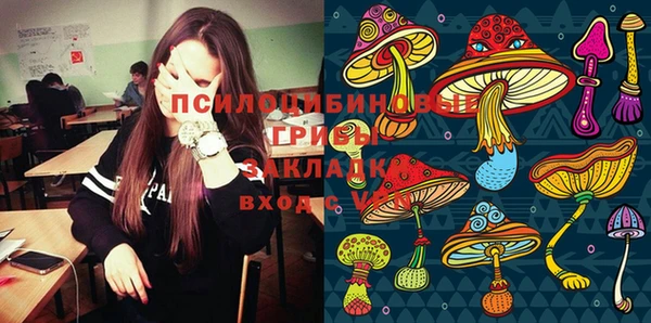 марки lsd Чегем