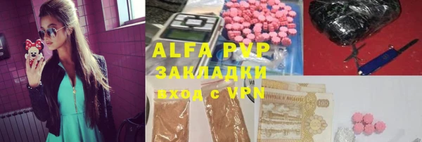 шишки Верхний Тагил
