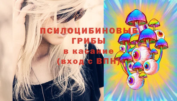 трава Верхнеуральск