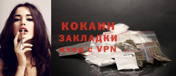 шишки Верхний Тагил
