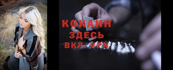 шишки Верхний Тагил