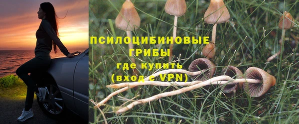 гашик Волоколамск