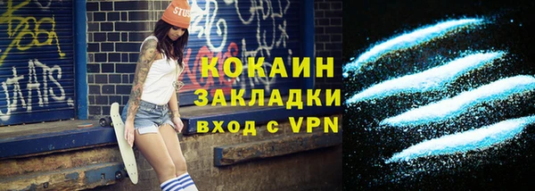 шишки Верхний Тагил