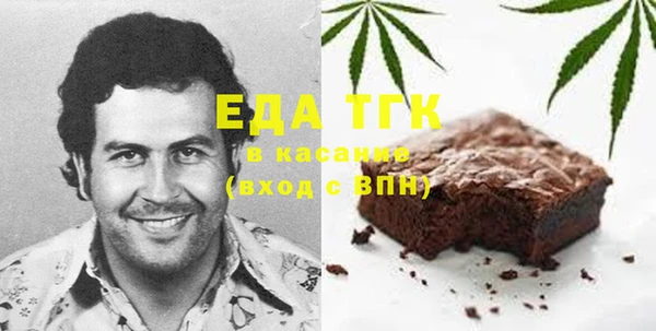 индика Чекалин